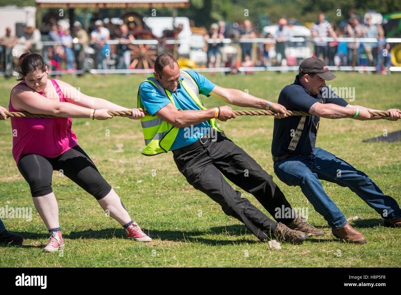 England, Yorkshire - Tug Of War Spiel bei Masham Dampf Rallye, eine antike Show für alte Traktoren, Autos und Lokomotiven in Masha Stockfoto