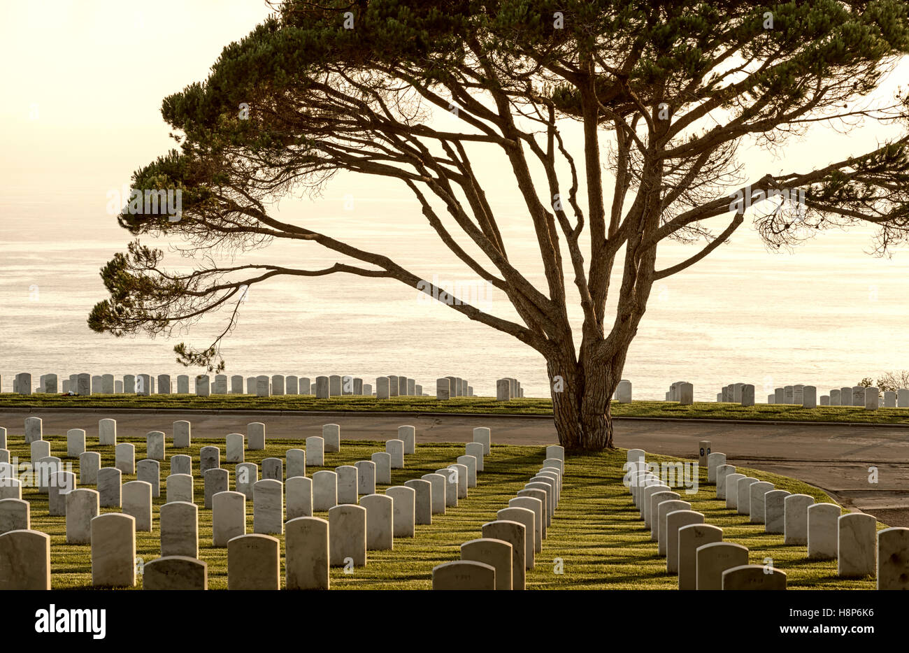 Fort Rosecrans National Cemetery, San Diego, Kalifornien, USA. Stockfoto