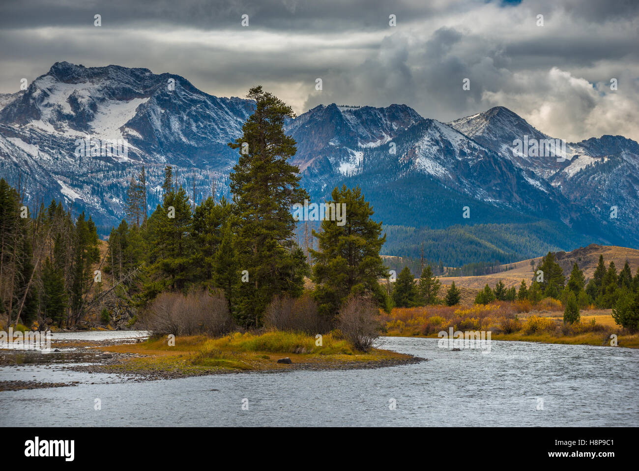 Salmon River niedriger Stanley Idaho Sägezahn Sortiment Stockfoto