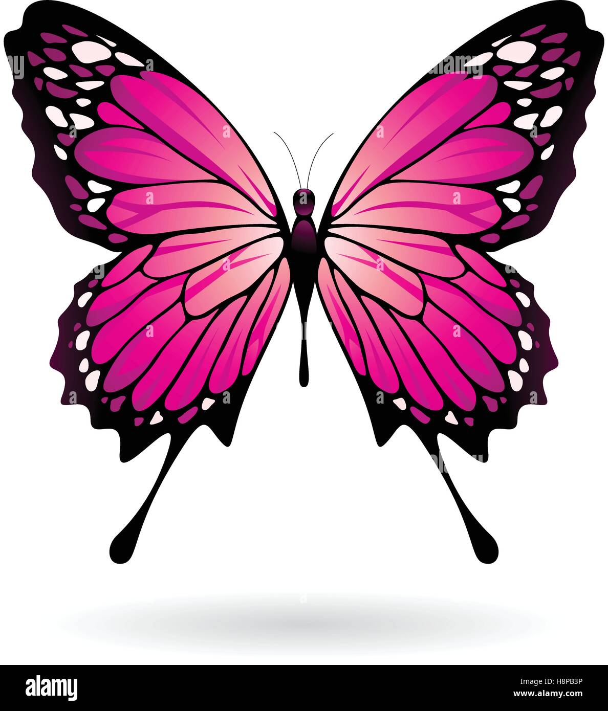 Vektor Illustration Von Einem Bunten Schmetterling Isoliert Auf Weissem Hintergrund Stock Vektorgrafik Alamy