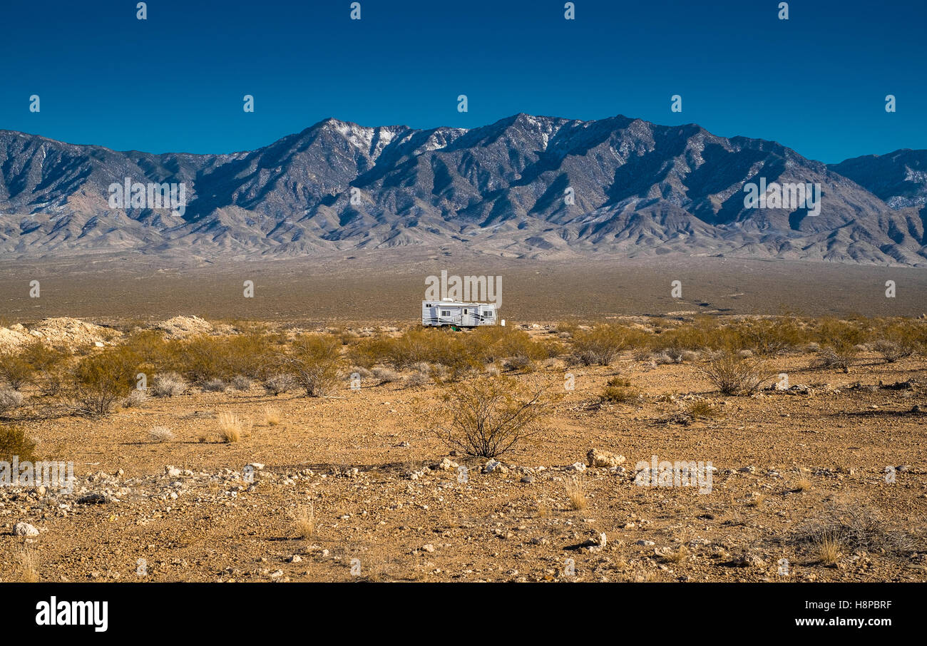 Nevada Wüste leben im winter Stockfoto