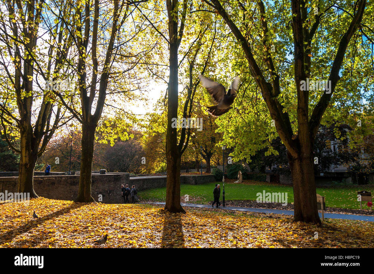 Bristol, England, Vereinigtes Königreich. Die Menschen gehen durch Schlosspark in Herbstwetter. Stockfoto