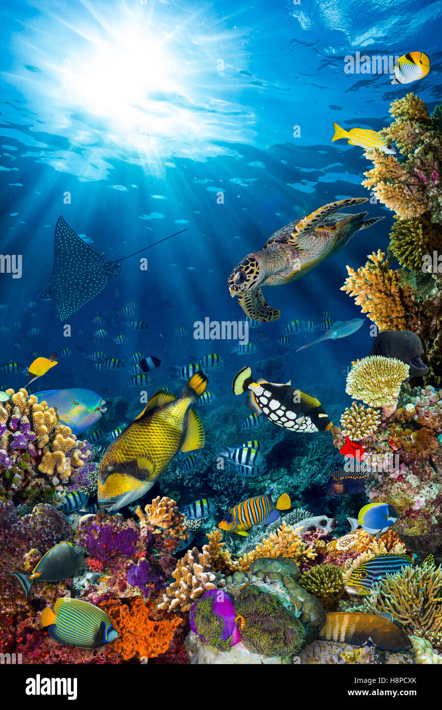 Unterwasser Korallenriff Landschaft im tiefblauen Meer mit bunten Fischen und Meerestieren Stockfoto