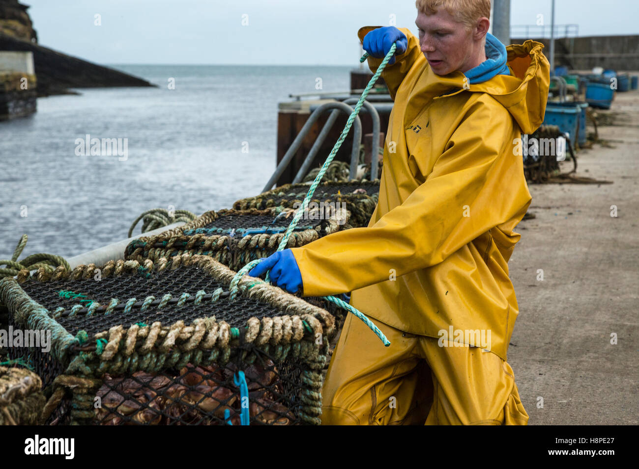 Ein junger Fischer bindet einen Korb mit frisch gefangenen Krabben Stockfoto
