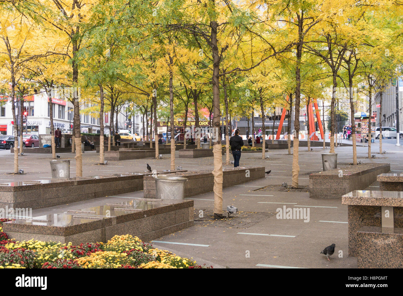 Bänke und Landschaftsbau, Zuccotti Park, New York, USA Stockfoto