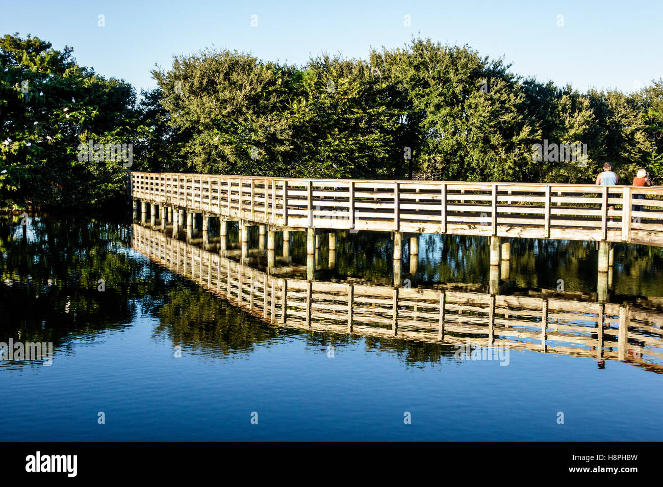 Florida, Süd, Delray Beach, Wakodahatchee Wetlands, Tierwelt, Promenade, Wasser, Besucher reisen Reise Touristik Tourismus Wahrzeichen Kultur c Stockfoto