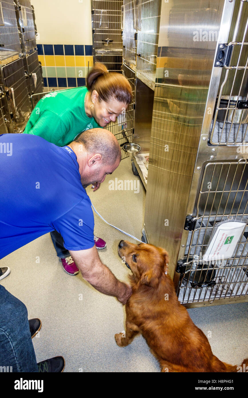Miami Florida, Miami-Dade Animal Services Pet Adoption and Protection Center, Zentrum, Tierheim, innen, Freiwillige Freiwillige Community Service volu Stockfoto