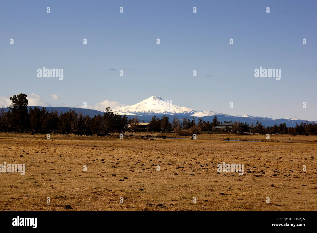 Mount Jefferson in Oregon Stockfoto