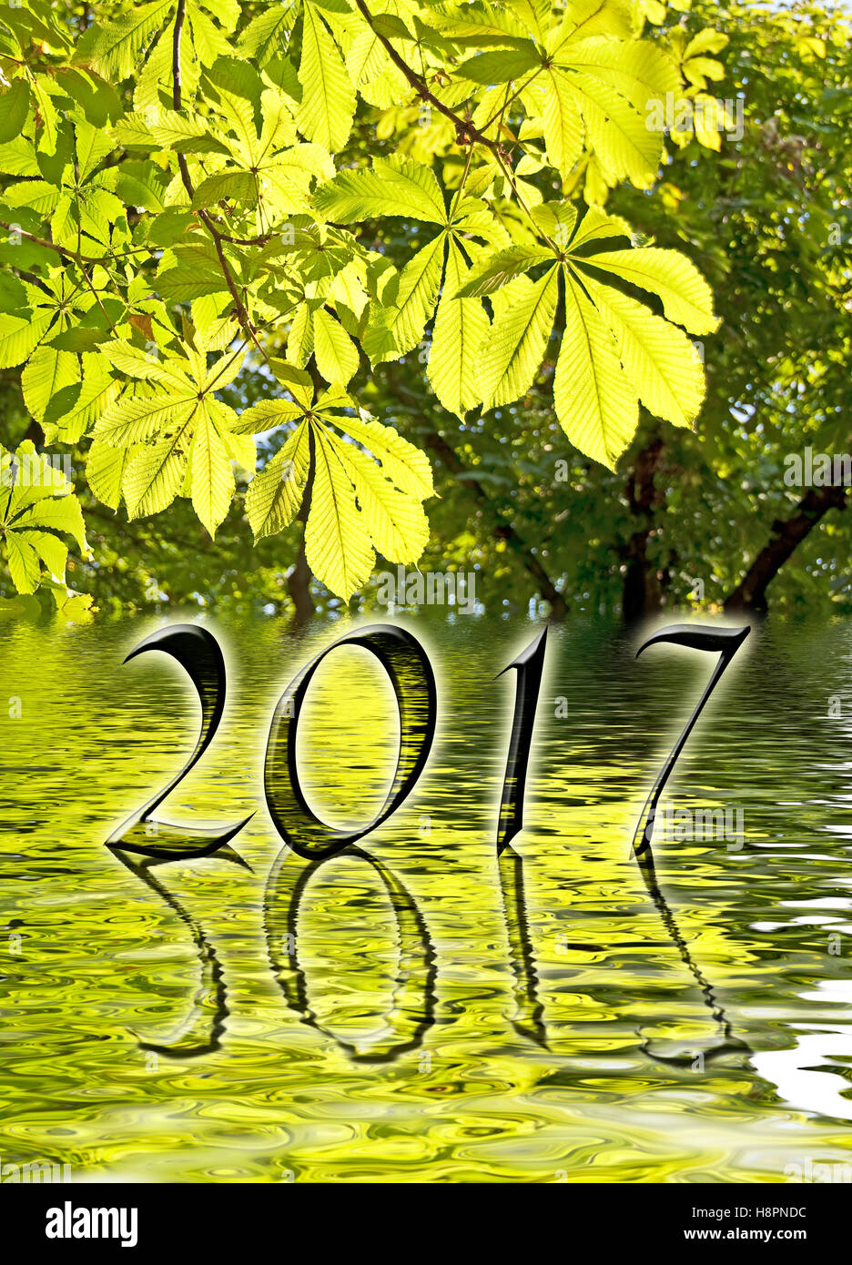 2017, grüne Blätter und Wasser Reflexionen Grußkarte Stockfoto