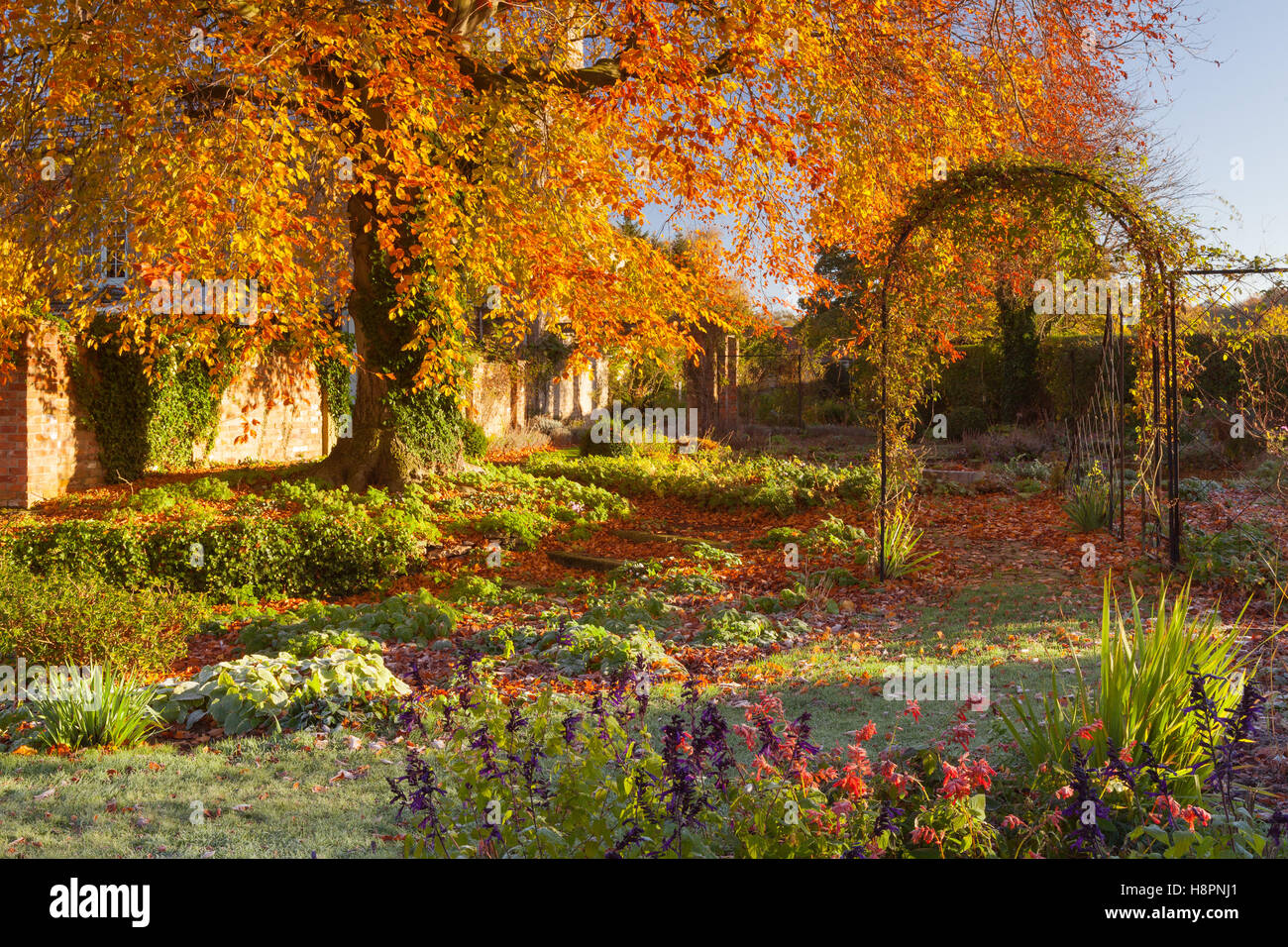 Hall Farm Garten, Köln, Lincolnshire, Großbritannien. Herbst, November 2016. Stockfoto