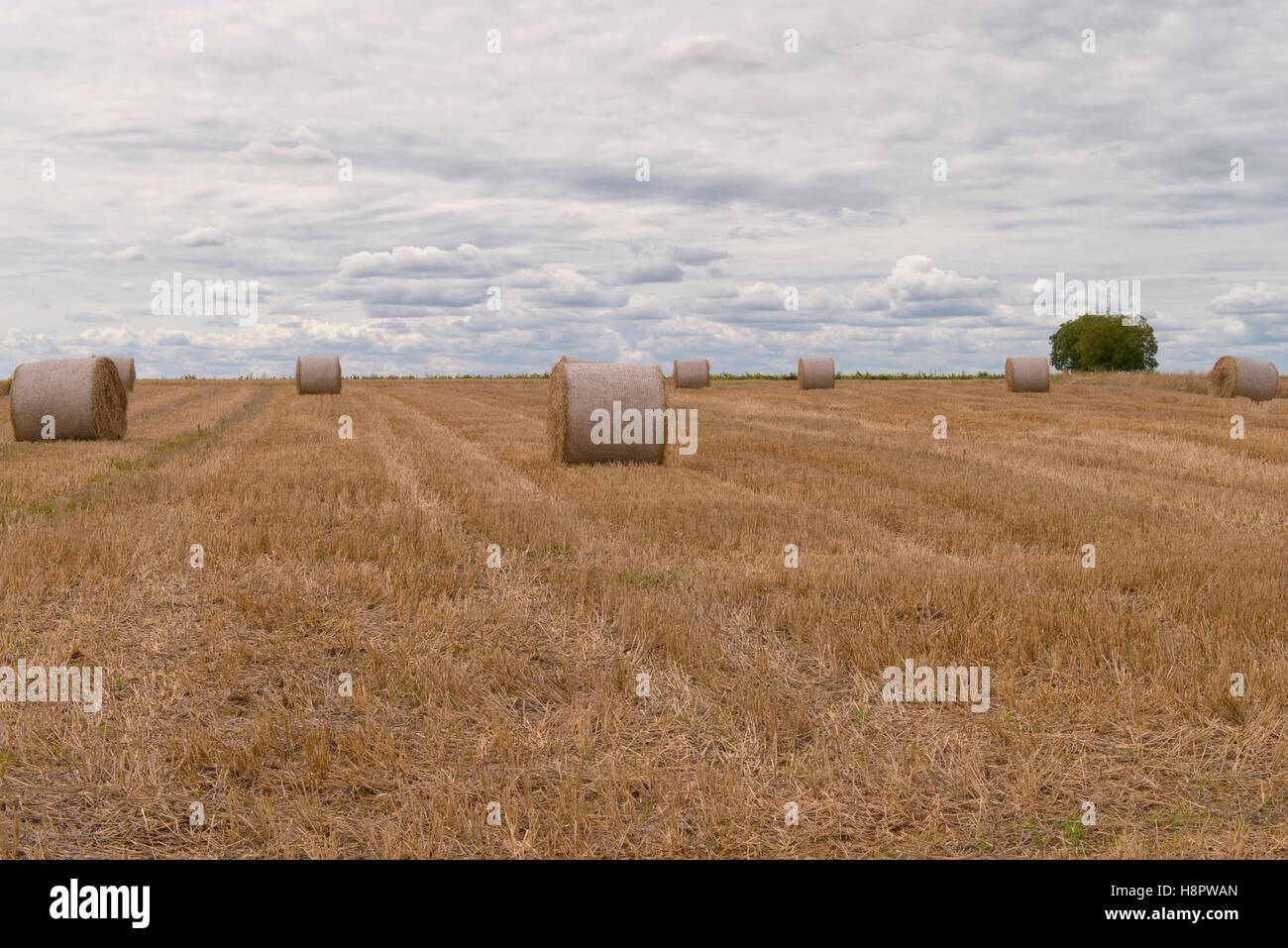 Landwirtschaft-Felder Stockfoto