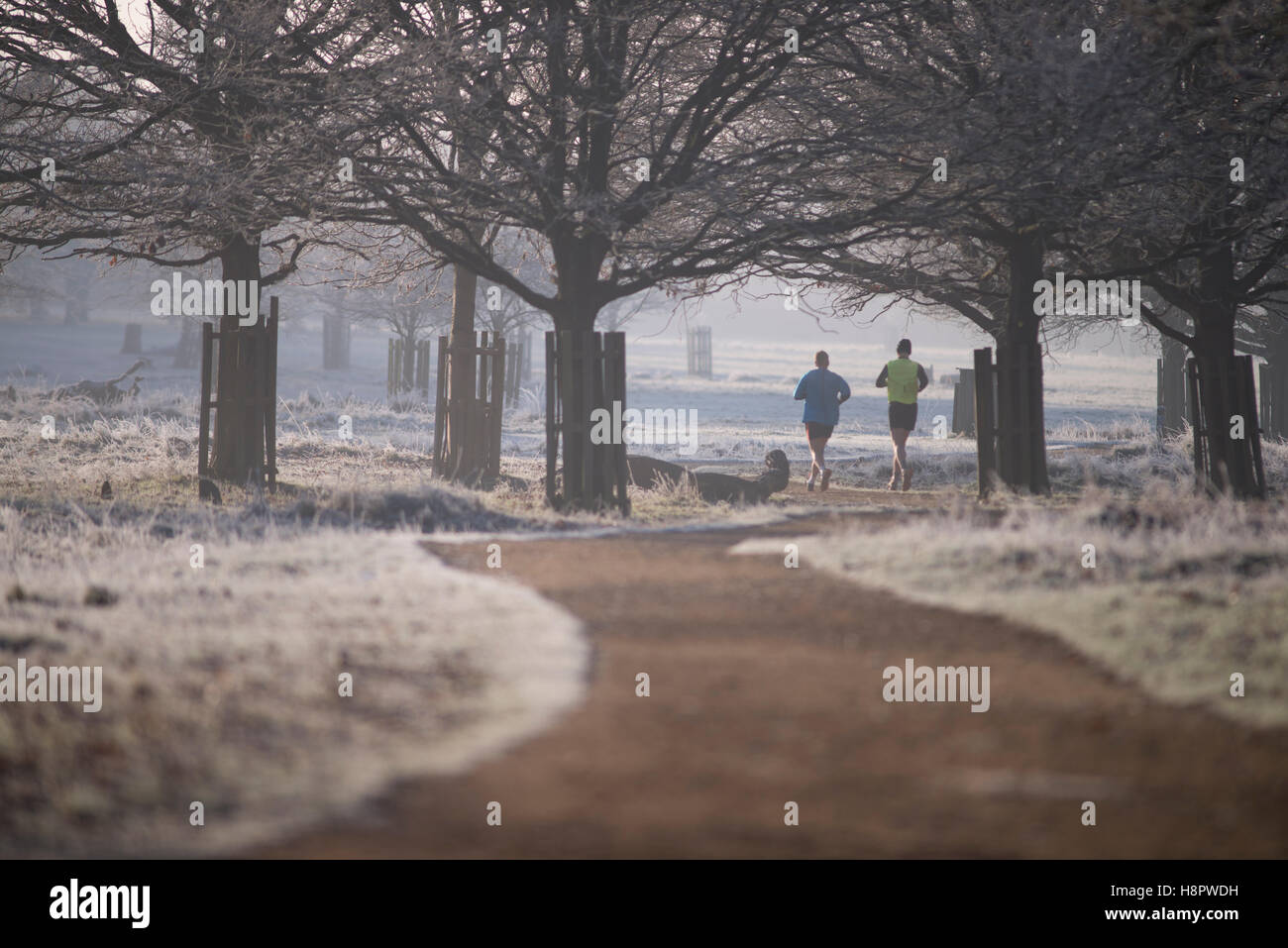 Menschen Sie Winter am frühen Morgen trainieren in Richmond Park London Stockfoto