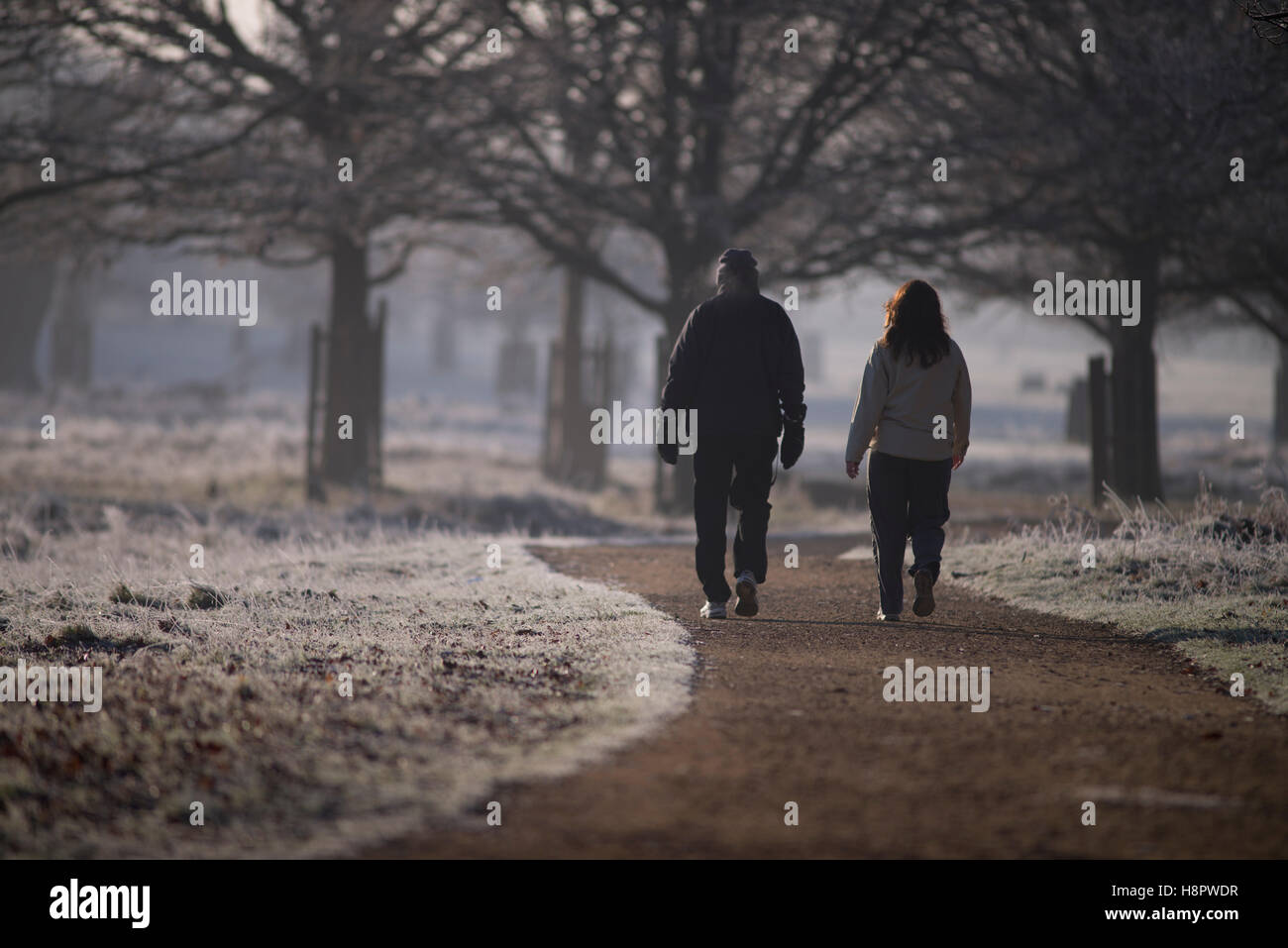 Menschen Sie Winter am frühen Morgen trainieren in Richmond Park London Stockfoto