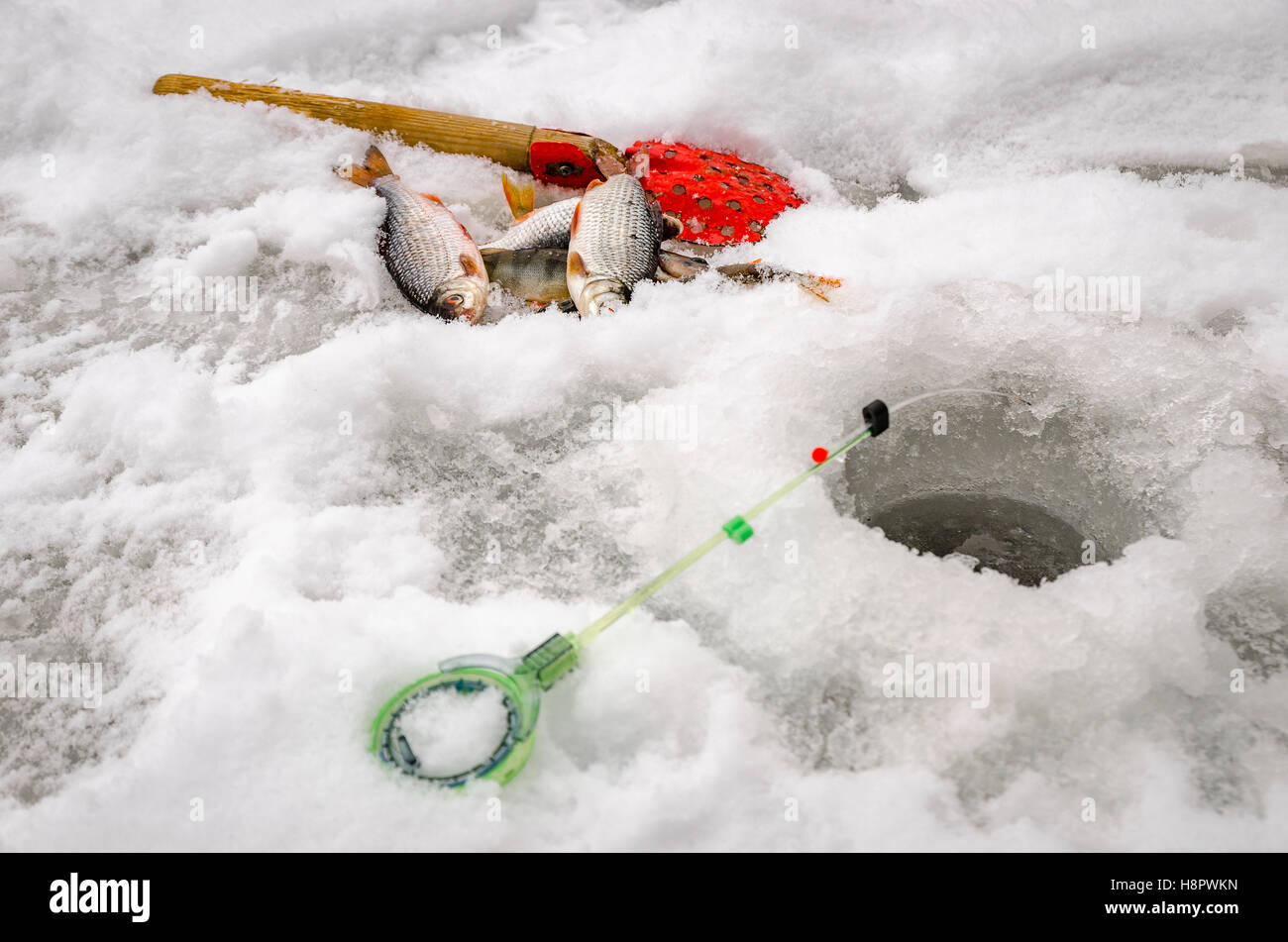 Fische kleine Fische gefangen von einem Fischer in den Händen Stockfoto