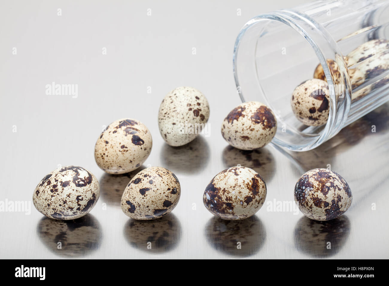 Wachtel-Eiern-Dump aus geschliffenem Glas auf grauem Hintergrund. Stockfoto