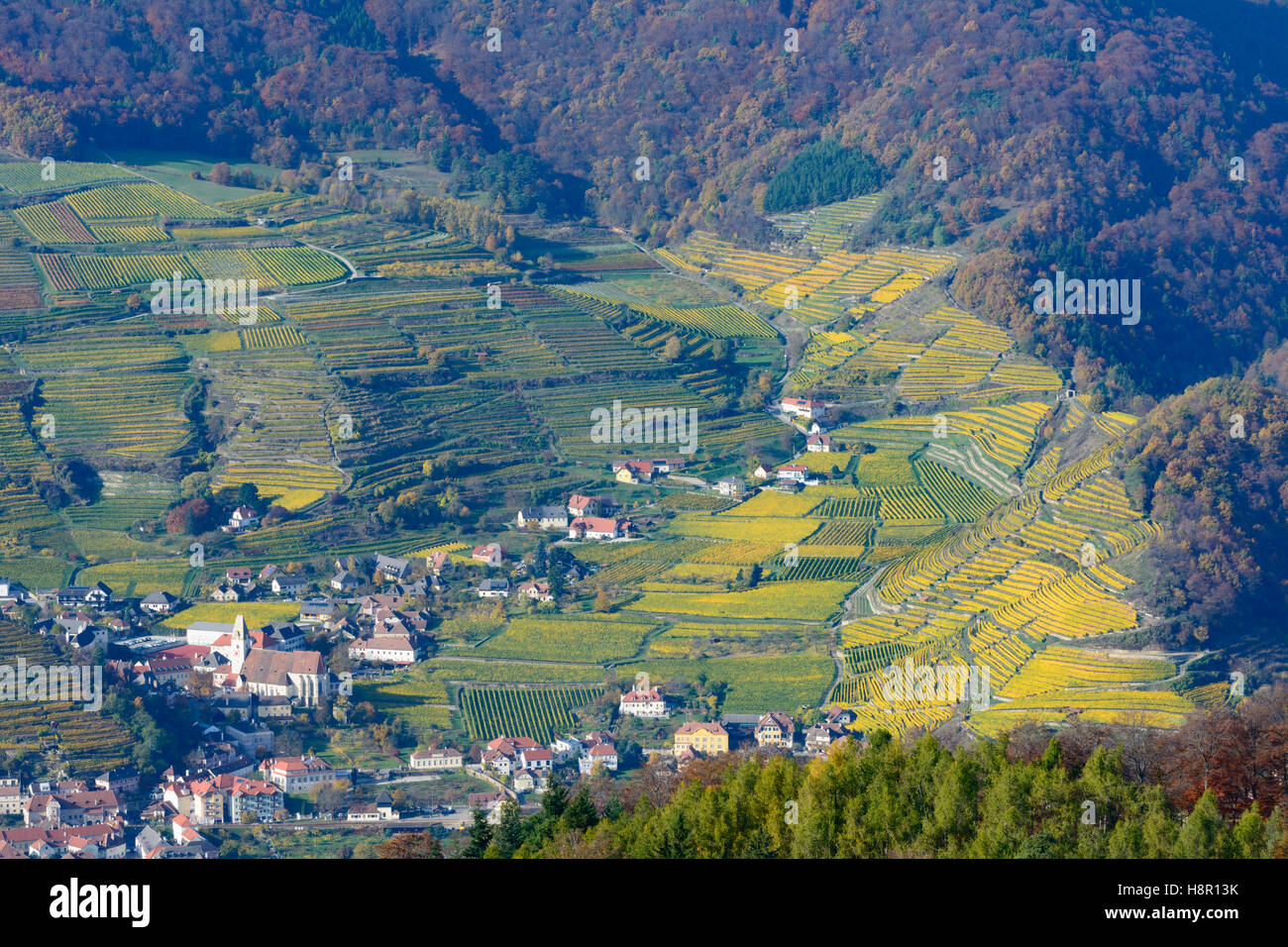 Spitz: Stadt Spitz, Weinberge, Weingut, Wachau, Niederösterreich, Niederösterreich, Österreich Stockfoto