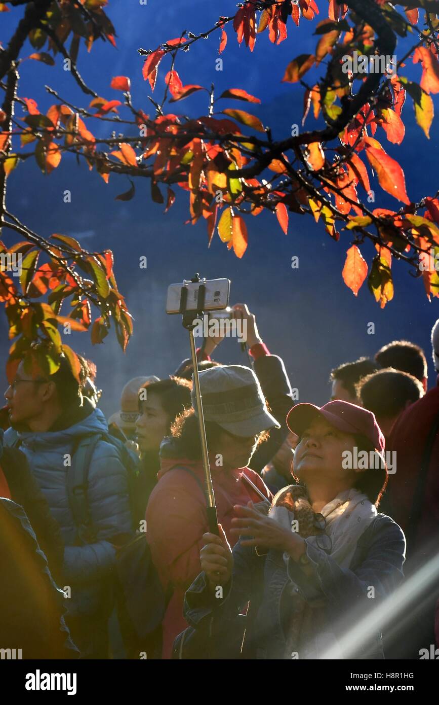 Taipeh. 15. November 2016. Besucher Sonnenaufgang in den Bergen von Ali, Südost-China Taiwan, 15. November 2016. © Zhu Xiang/Xinhua/Alamy Live-Nachrichten Stockfoto