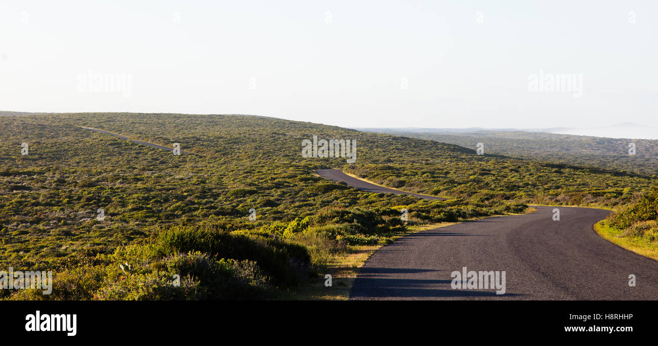 Südafrika, Western Cape, West Coast Nationalpark Stockfoto