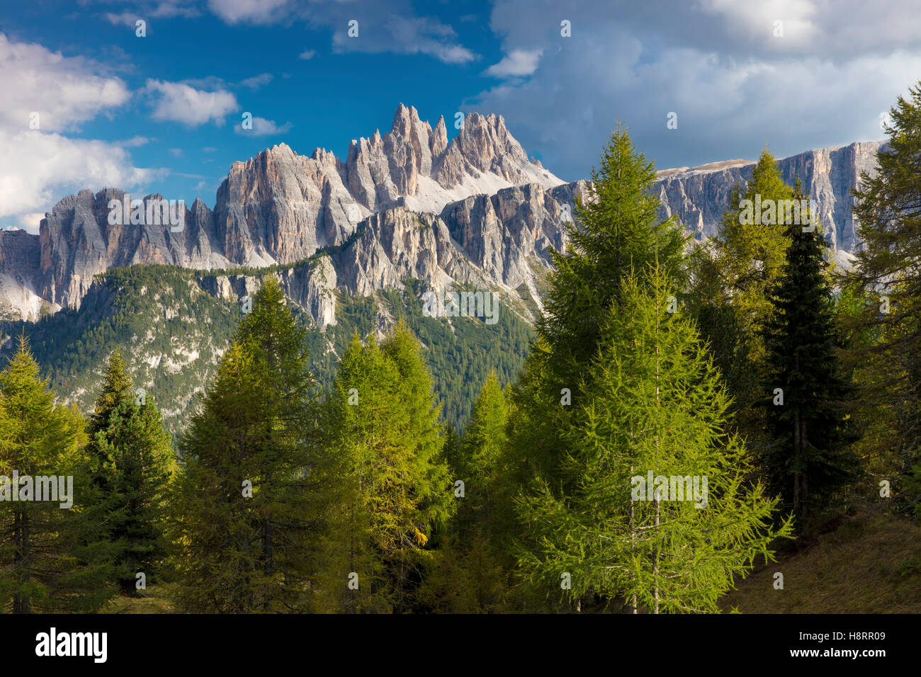 Croda da Lago & LaStone di Formin Bergketten, Dolomiten, Belluno, Italien Stockfoto