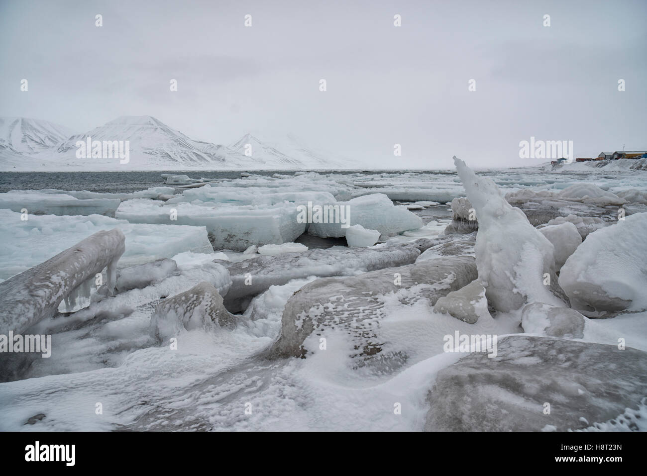 Meer Eis bilden - Pfannkuchen Eis - auf Adventfjorden, Spitzbergen Seeeis Im Adventfjorden Bei Longyearbyen, Svalbard, Norwegen Stockfoto