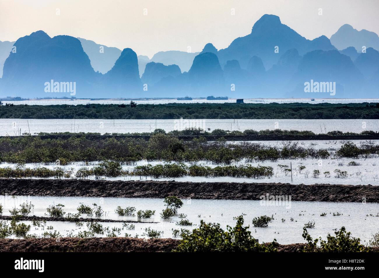 Perlenfarm in Halong Bucht, Vietnam, Indochina, Asien Stockfoto