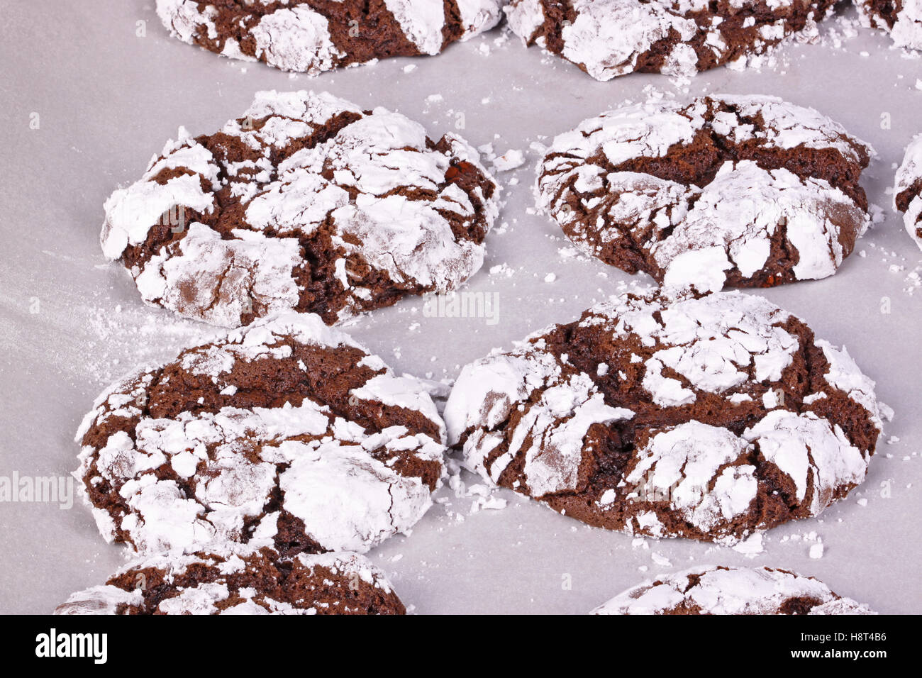 Hausgemachte Schokolade Crinkle Cookies frisch aus dem Ofen nach dem Backen auf Backpapier Stockfoto