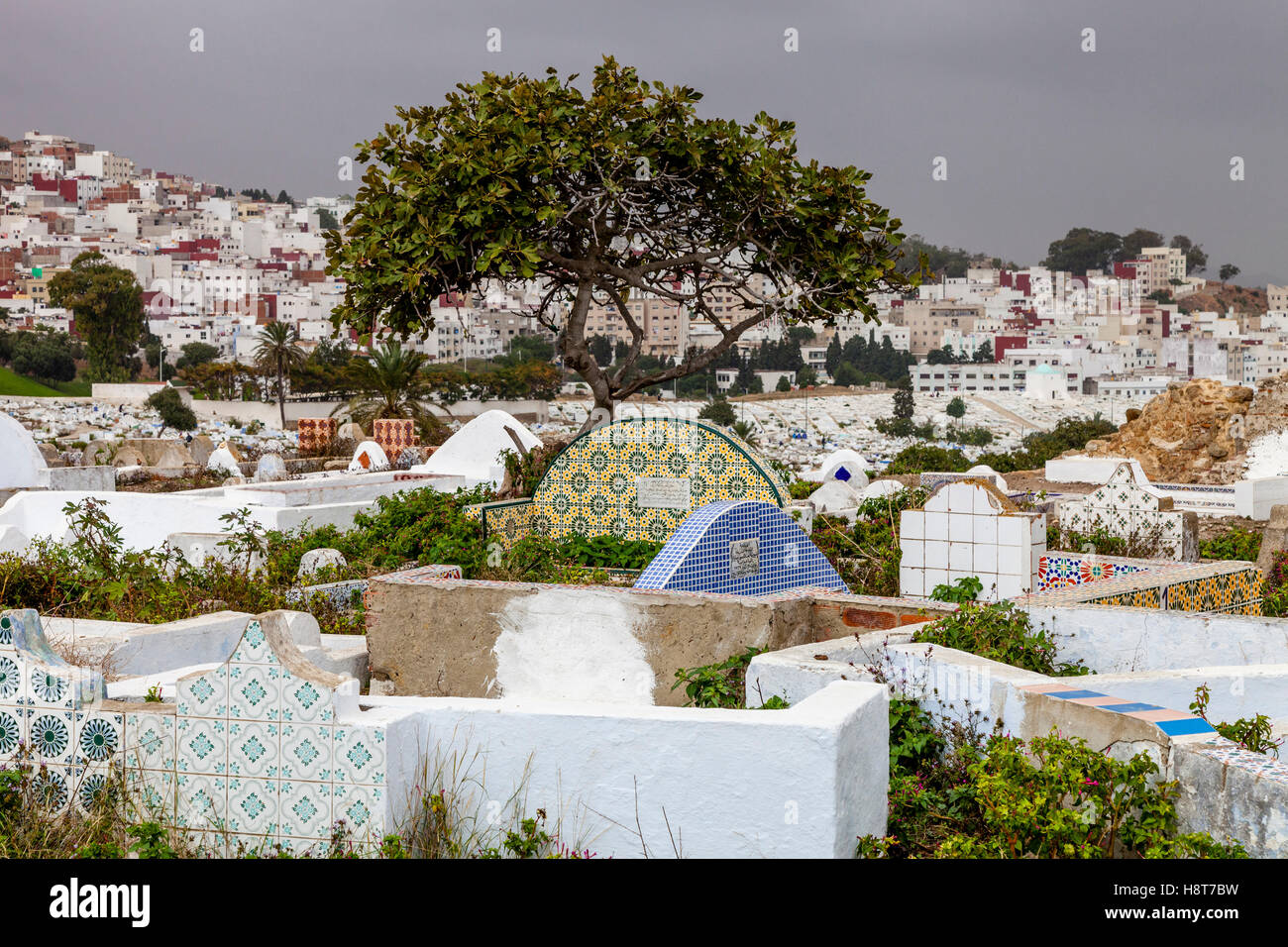 Der muslimische Friedhof, Tetouan, Marokko Stockfoto