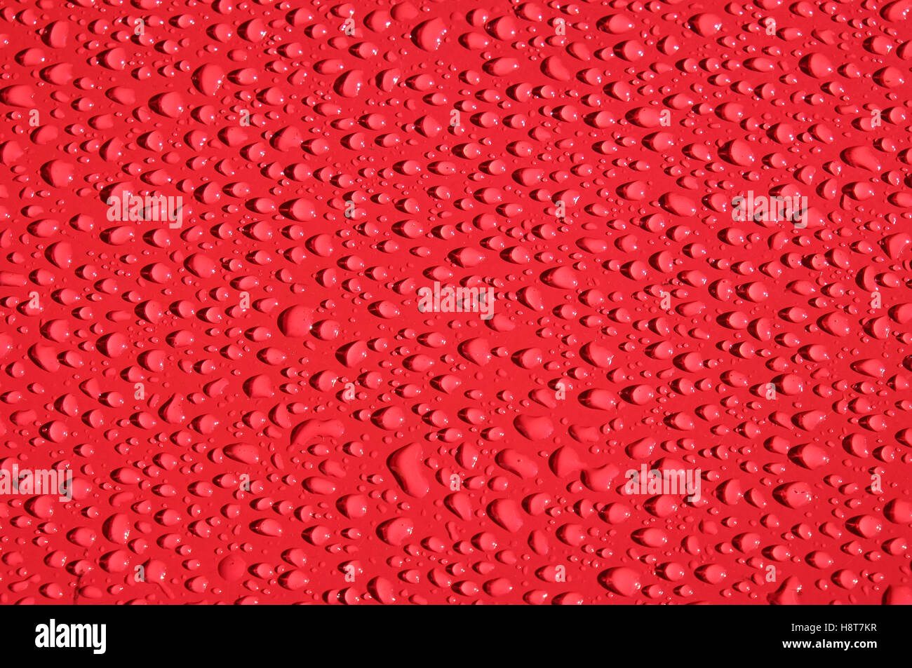Regentropfen auf rot lackiertem Metall Tischplatte Stockfoto