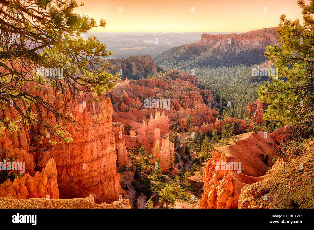 Sonnenuntergang am Bryce-Canyon-Nationalpark, Utah, USA Stockfoto