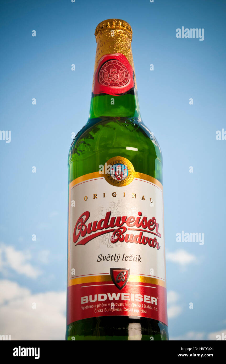 Tschechisches Bier Budweiser in Flasche Stockfoto