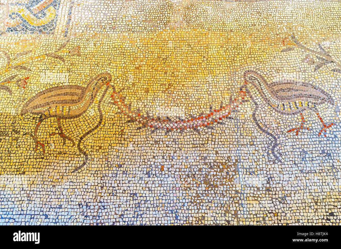 Das Mosaikbild auf dem Boden der Multiplikation Kirche mit zwei kleine Vögel Stockfoto