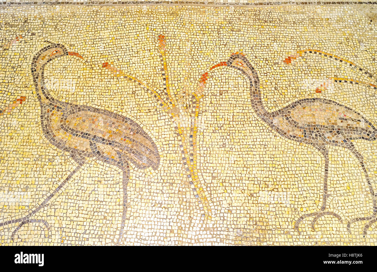 Das Paar der Kran Vögel auf Mosaikbild auf dem Boden der Multiplikation Kirche Stockfoto