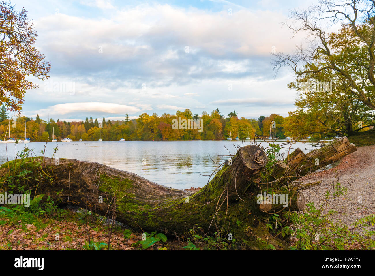 Herbstliche Ansicht von Windermere im englischen Lake District Stockfoto