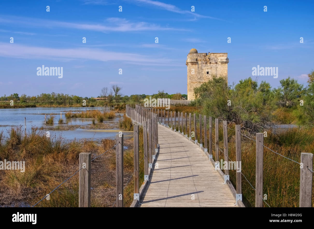 Aigues Mortes, Tour Carbonnière in der Camargue - Aigues Mortes, Tour Carbonnière in Camargue, Frankreich Stockfoto