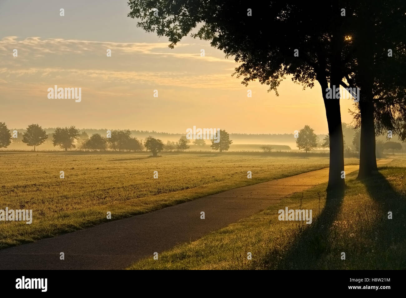 Feldweg Im Morgennebel - Morgennebel in einer rular Gegend, kleine Straße Stockfoto