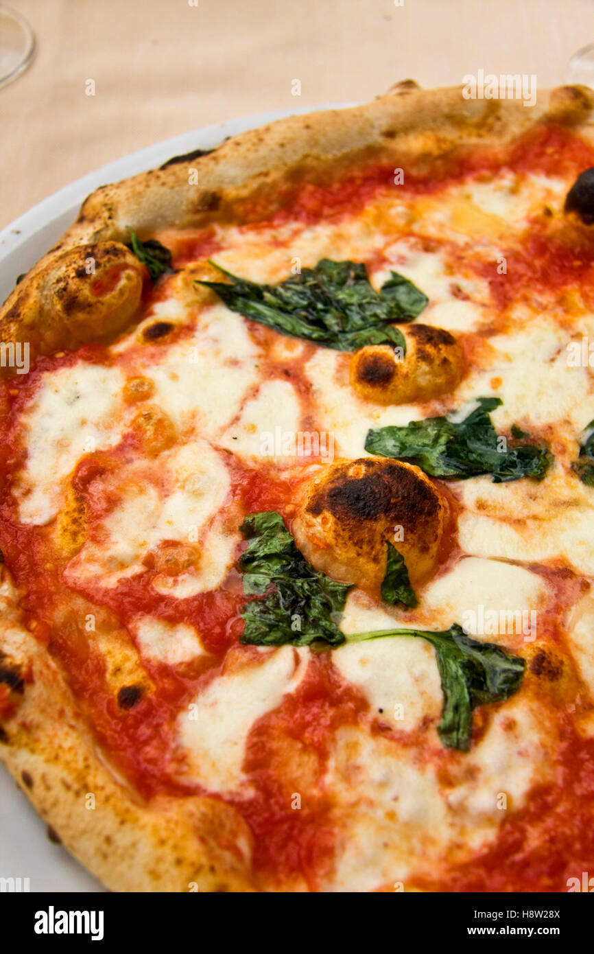 Neapolitanische Pizza Margherita mit Büffelmozzarella, bekannt aus Neapel, Kampanien, Italien, Europa Stockfoto