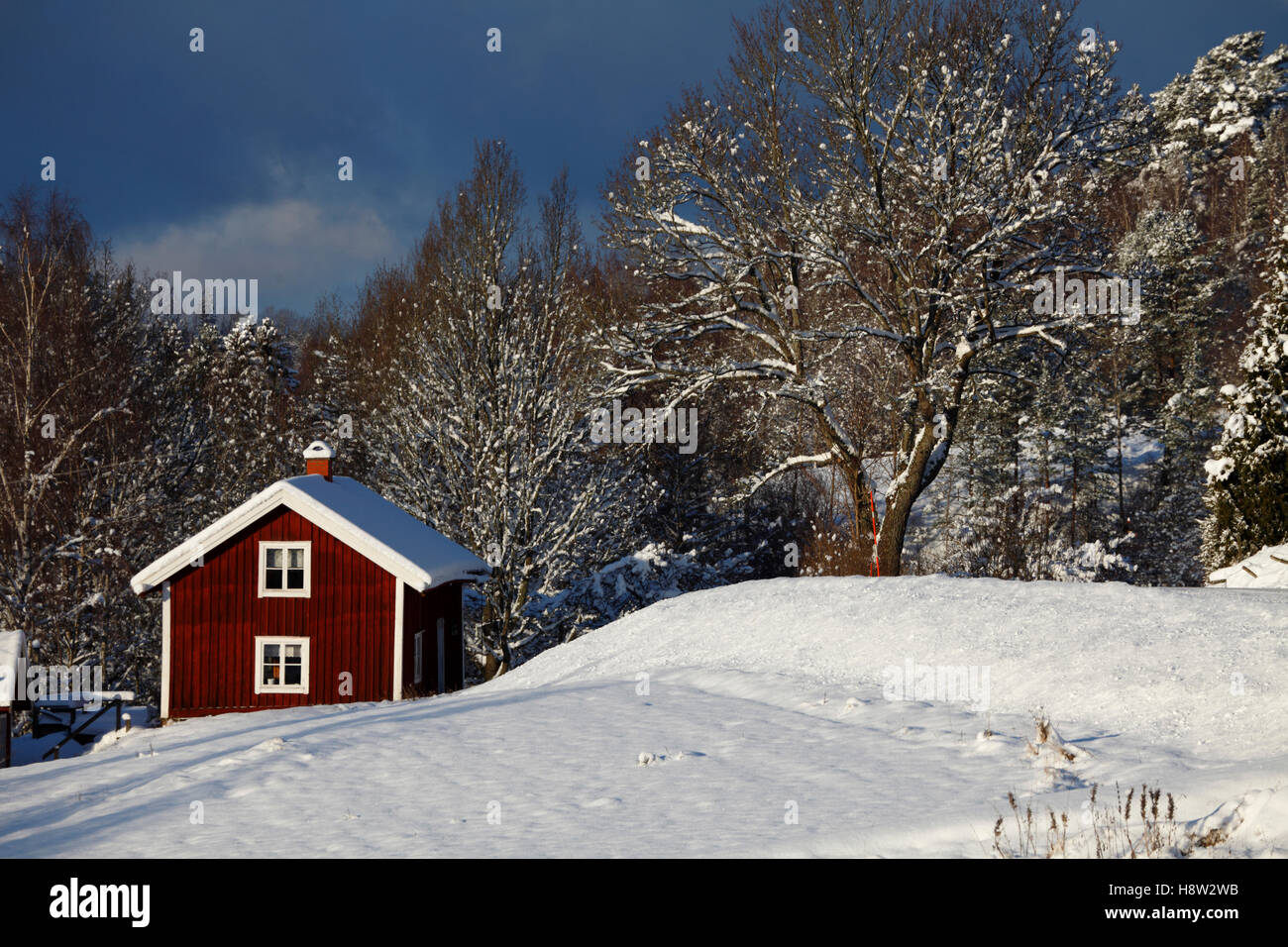 Old Red Cottage in eine verschneite Winterlandschaft, Stockfoto