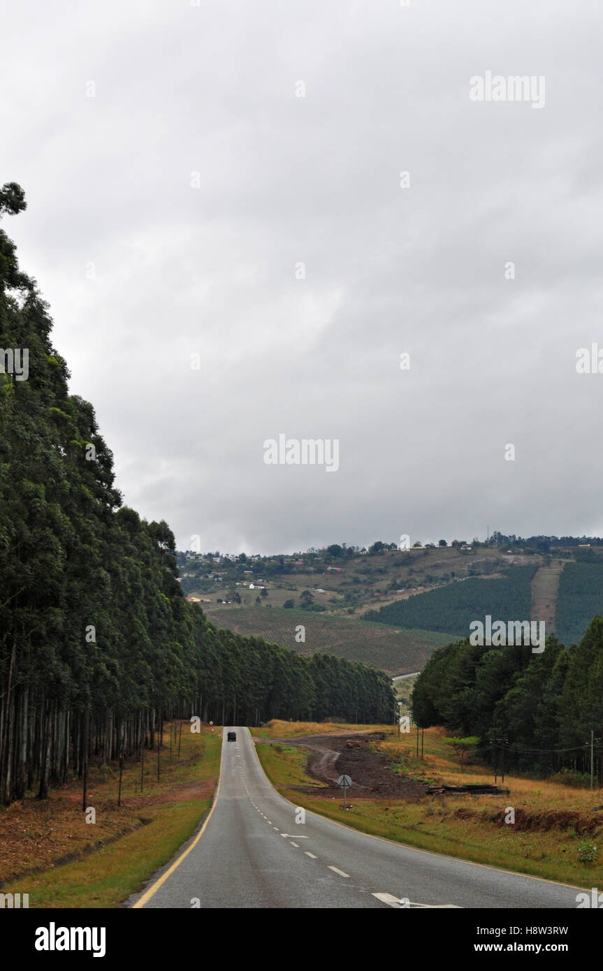 Ndebele und zulu sprachen Fotos und Bildmaterial in hoher Auflösung