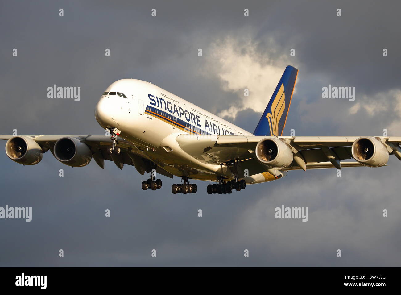 Singapore Airlines Airbus A380-Landung am Flughafen London Heathrow, Vereinigtes Königreich Stockfoto