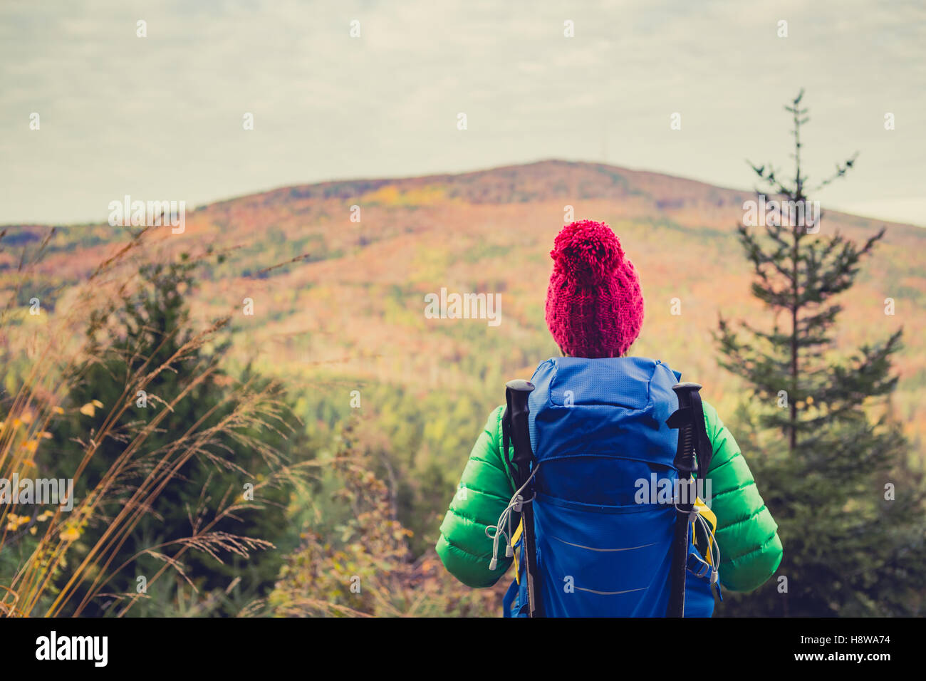 Frau mit Rucksack Blick auf inspirierende herbstlichen goldenen Wälder wandern. Fitness Reisen und gesunde Lebensweise im Freien in fallen s Stockfoto