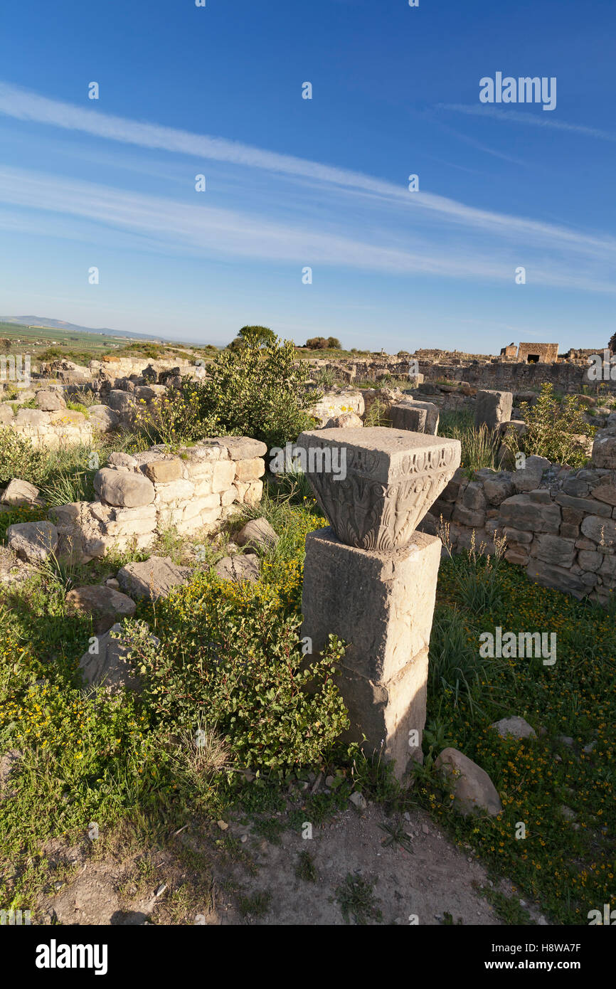 überwucherten Ruinen der antiken Stadt Volubilis im Bereich Zerhoun-Massivs von Marokko Stockfoto