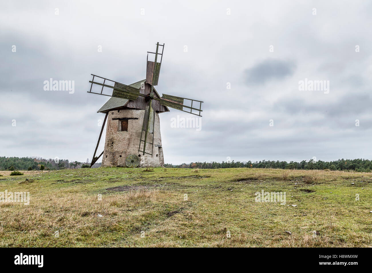 Windmühle auf Feld auf Gotland, Schweden. Stockfoto