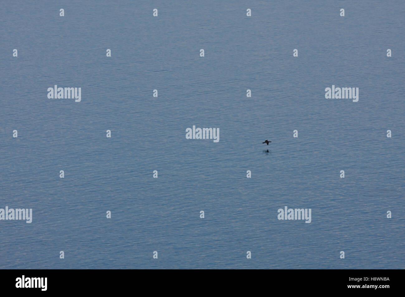 ein Ausflug an den See in den Bergen am nächsten der alten Stadt Ohrid in Mazedonien Stockfoto