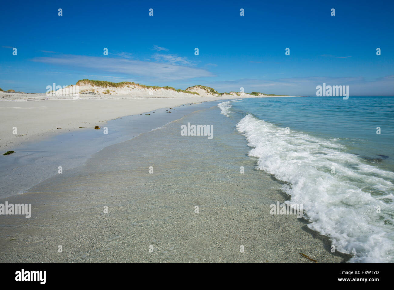 Tresness Strand; Sanday; Orkney; UK Stockfoto