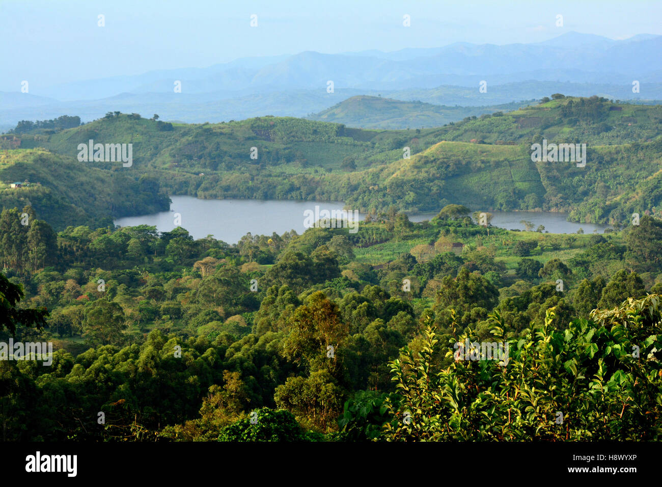 Kratersee im Wald Fort Portal Uganda Stockfotografie Alamy