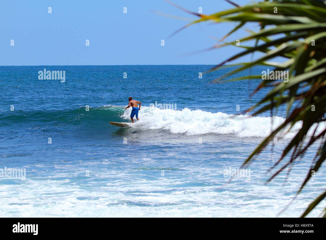 Ein reifer Mann Surfen im Moffat Beach an der Sunshine Coast in Queensland, Australien. Stockfoto