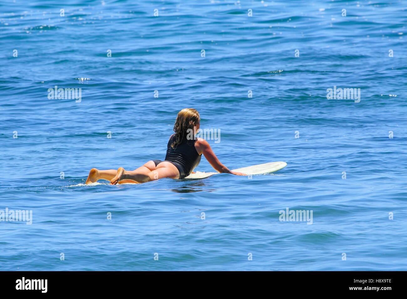 Eine Frau in ihren Dreißigern paddeln eine Longboard in Moffat Beach an der Sunshine Coast in Queensland, Australien. Stockfoto