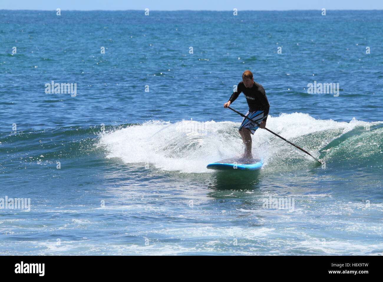 Ein Mann in den Dreißigern Surfen Stand up Paddleboard (SUP) in Moffat Beach an der Sunshine Coast in Queensland, Australien. Stockfoto
