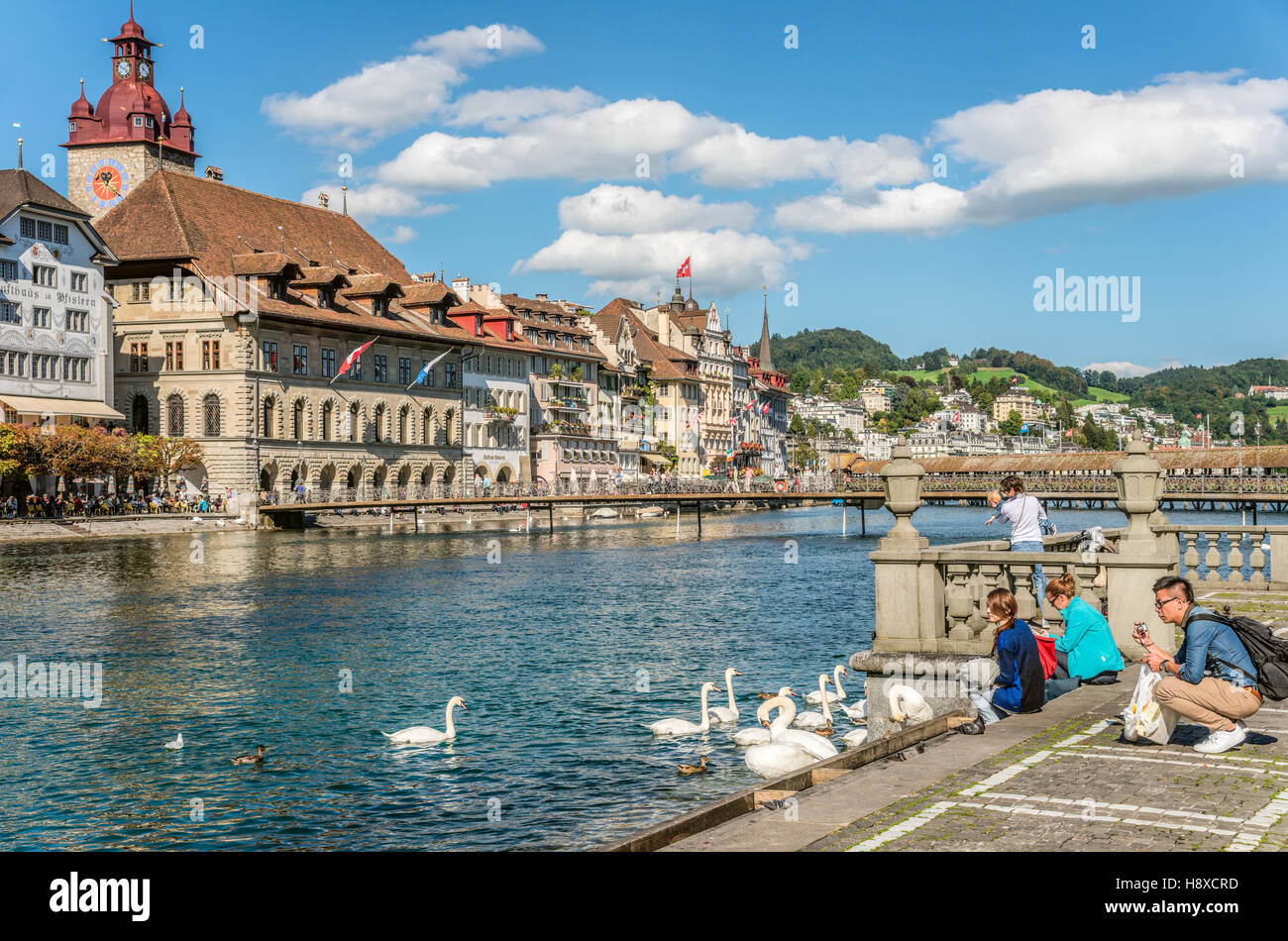 Touristen ernähren Schwäne am Reuss-Ufer, Luzern, Schweiz Stockfoto