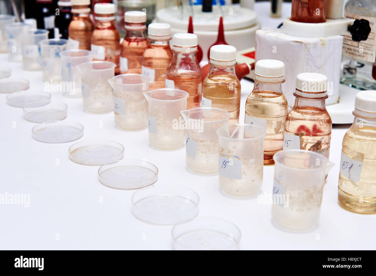 Forschung von biologischem Material im biochemischen Labor Stockfoto